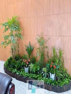 秦淮企业大厅绿植组合摆放